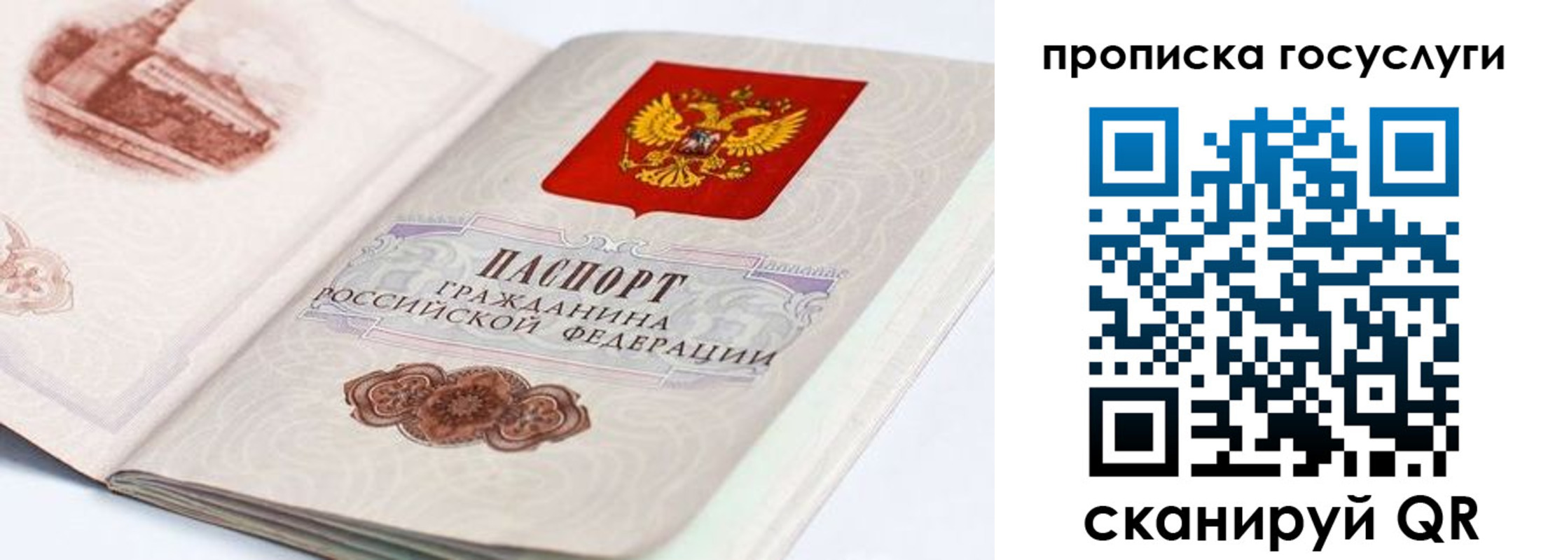 прописка гарантия в Поворино